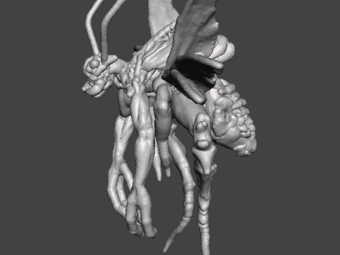 RE4 FLYING NOVISTADOR MONSTER MINIATURE MODEL FOR HORROR OR FANTASY GAMES RPG DND Modèles 3D en vedette
