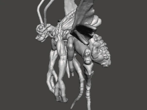 RE4 MODELLO IN MINIATURA DI MOSTRO VOLANTE NOVISTADOR PER GIOCHI HORROR O FANTASY RPG DND Modello di stampa 3D