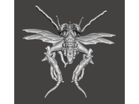 RE4 FLYING NOVISTADOR MONSTER MINIATURE MODEL FOR HORROR OR FANTASY GAMES RPG DND Modèles 3D en vedette