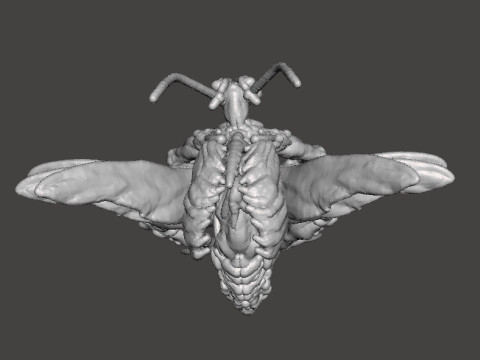 RE4 FLYING NOVISTADOR MONSTER MINIATURE MODEL FOR HORROR OR FANTASY GAMES RPG DND Modèles 3D en vedette