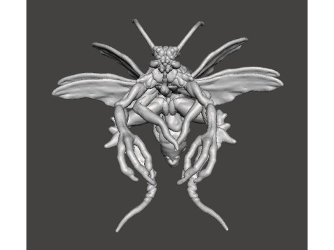 RE4 FLYING NOVISTADOR MONSTER MINIATURE MODEL FOR HORROR OR FANTASY GAMES RPG DND Modèles 3D en vedette