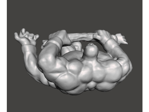 MUTANT LUCHADOR WRESTLER MINIATURE MODEL FIGURE FOR FANTASY HORROR GAMES RPG DND 3D Принт Модель
