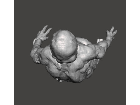 RE7 FAT MOLDED MONSTER MINIATURE MODEL FOR HORROR OR FANTASY GAMES RPG DND 3Dプリントモデル