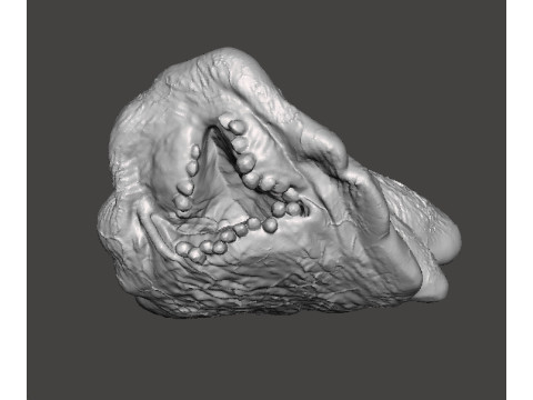 REREV GLOBSTER MONSTER MINIATURE MODEL FOR HORROR OR FANTASY GAMES RPG DND 3D Принт Модель