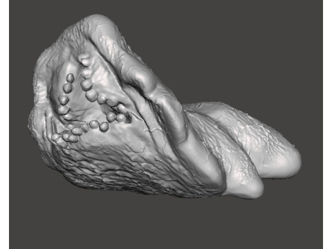 REREV GLOBSTER MONSTER MINIATURE MODEL FOR HORROR OR FANTASY GAMES RPG DND 3D Baskı Modeli