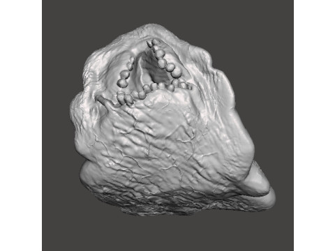 REREV GLOBSTER MONSTER MINIATURE MODEL FOR HORROR OR FANTASY GAMES RPG DND 3D Baskı Modeli
