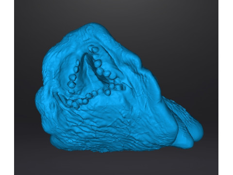 REREV GLOBSTER MONSTER MINIATURE MODEL FOR HORROR OR FANTASY GAMES RPG DND 3D Baskı Modeli