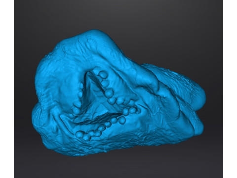 REREV GLOBSTER MONSTER MINIATURE MODEL FOR HORROR OR FANTASY GAMES RPG DND 3D Baskı Modeli