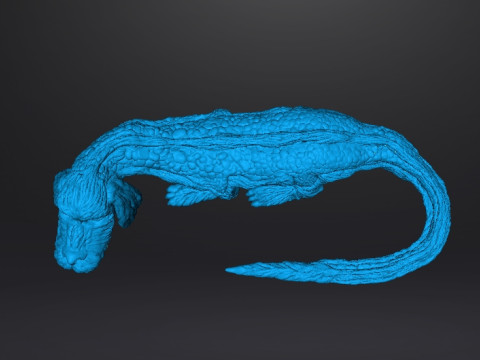 NEVERENDING STORY FALKOR THE LUCK DRAGON FIGURE MODEL RPG DND 3D Print Model