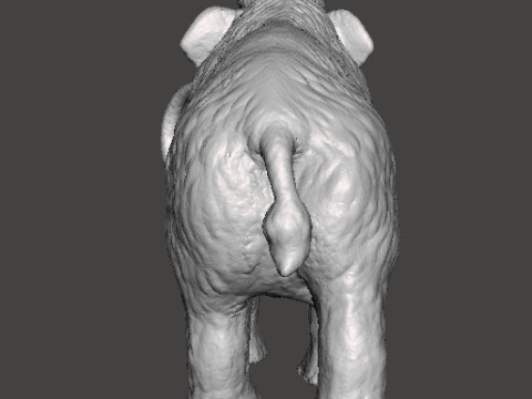 WOOLLY MAMMOTH REALISTIC FIGURE MINIATURE MODEL PREHISTORIC DND RPG Model Cetak 3D