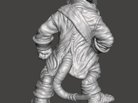 SQUEAK PIRATE CAPTAIN RAT MINIATURE MODEL FOR FANTASY GAMES RPG DND 3D Print Model