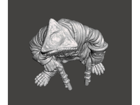 SQUEAK PIRATE CAPTAIN RAT MINIATURE MODEL FOR FANTASY GAMES RPG DND 3D Print Model