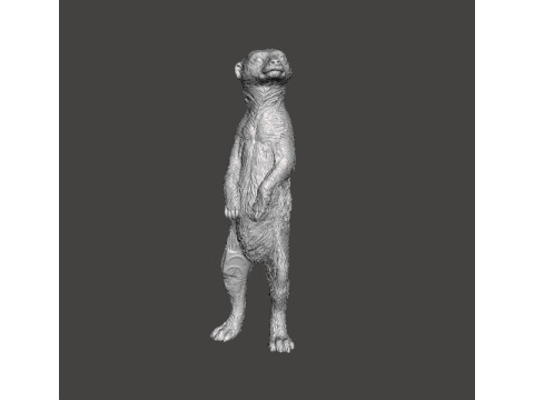 MEERKAT CUTE REALISTIC FIGURE MODEL ANIMAL CREATURE WILDLIFE 3D Print Model