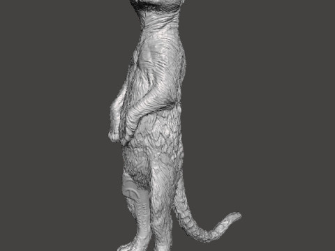 MEERKAT CUTE REALISTIC FIGURE MODEL ANIMAL CREATURE WILDLIFE 3D Print Model