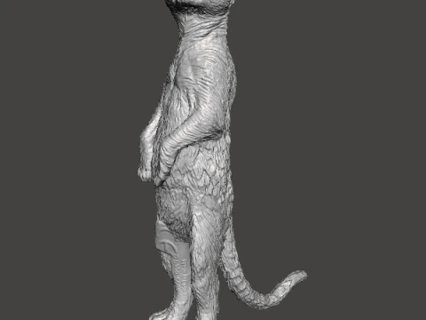 MEERKAT CUTE REALISTIC FIGURE MODEL ANIMAL CREATURE WILDLIFE 3D Print Model