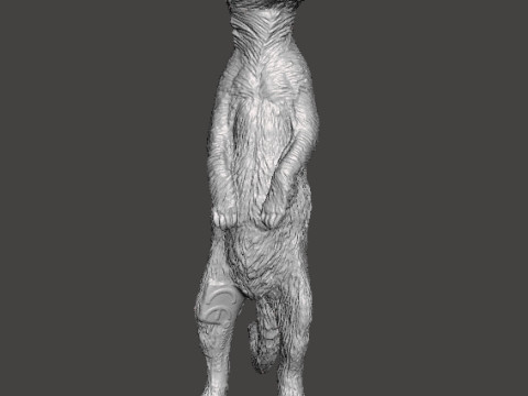 MEERKAT CUTE REALISTIC FIGURE MODEL ANIMAL CREATURE WILDLIFE 3D Print Model