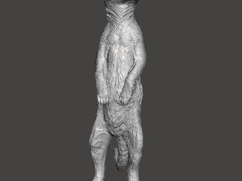 MEERKAT CUTE REALISTIC FIGURE MODEL ANIMAL CREATURE WILDLIFE 3D Print Model