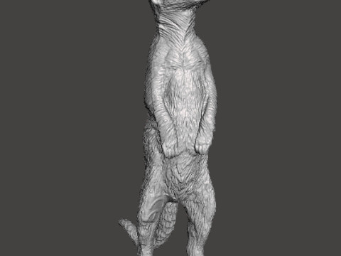 MEERKAT CUTE REALISTIC FIGURE MODEL ANIMAL CREATURE WILDLIFE 3D Print Model