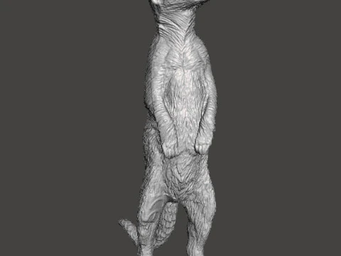MEERKAT CUTE REALISTIC FIGURE MODEL ANIMAL CREATURE WILDLIFE 3D Print Model