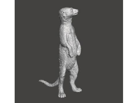 MEERKAT CUTE REALISTIC FIGURE MODEL ANIMAL CREATURE WILDLIFE 3D Print Model
