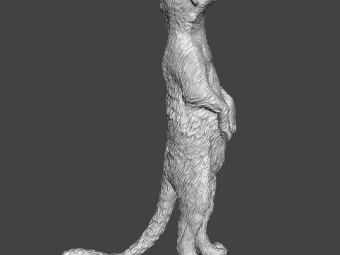 MEERKAT CUTE REALISTIC FIGURE MODEL ANIMAL CREATURE WILDLIFE 3D Print Model