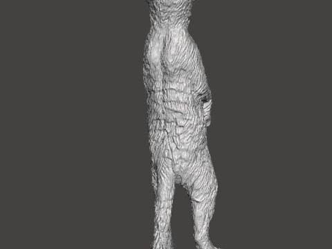 MEERKAT CUTE REALISTIC FIGURE MODEL ANIMAL CREATURE WILDLIFE 3D Print Model
