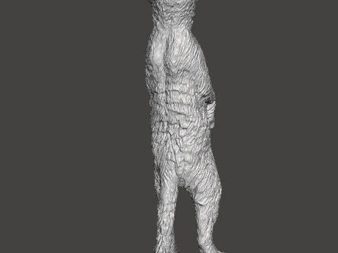 MEERKAT CUTE REALISTIC FIGURE MODEL ANIMAL CREATURE WILDLIFE 3D Print Model