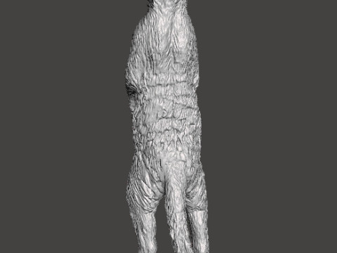 MEERKAT CUTE REALISTIC FIGURE MODEL ANIMAL CREATURE WILDLIFE 3D Print Model