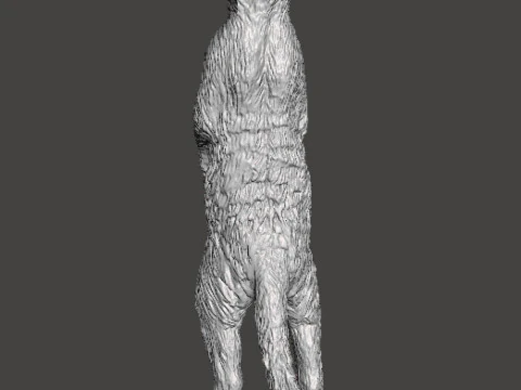 MEERKAT CUTE REALISTIC FIGURE MODEL ANIMAL CREATURE WILDLIFE 3D Print Model