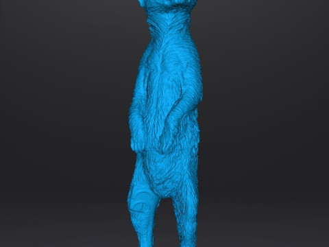 MEERKAT CUTE REALISTIC FIGURE MODEL ANIMAL CREATURE WILDLIFE 3D Print Model