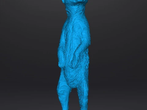 MEERKAT CUTE REALISTIC FIGURE MODEL ANIMAL CREATURE WILDLIFE 3D Print Model