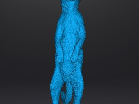 MEERKAT CUTE REALISTIC FIGURE MODEL ANIMAL CREATURE WILDLIFE 3D Print Model