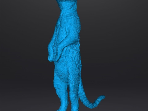MEERKAT CUTE REALISTIC FIGURE MODEL ANIMAL CREATURE WILDLIFE 3D Print Model