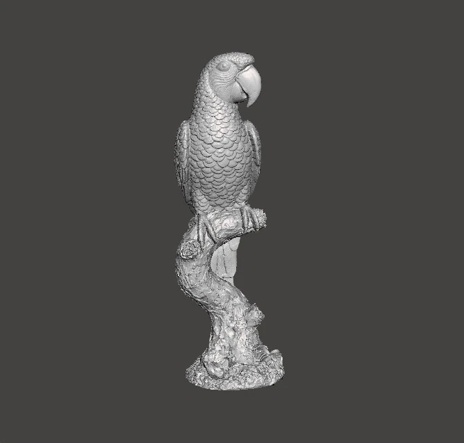 PARROT ON BRANCH REALISTIC SCULPTURE MODEL ANIMAL CREATURE WILDLIFE 3D Print Model .c4d .max .obj .3ds .fbx .stl .blend