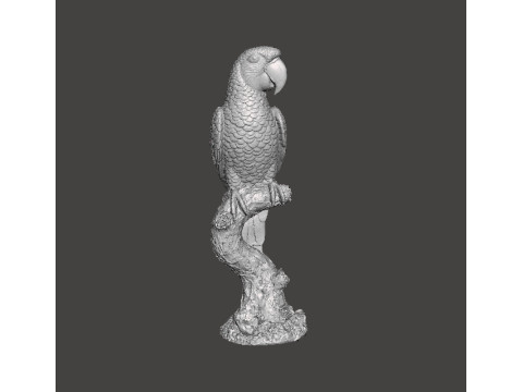 PARROT ON BRANCH REALISTIC SCULPTURE MODEL ANIMAL CREATURE WILDLIFE 3D 打印模型