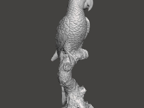 PARROT ON BRANCH REALISTIC SCULPTURE MODEL ANIMAL CREATURE WILDLIFE 3D Baskı Modeli