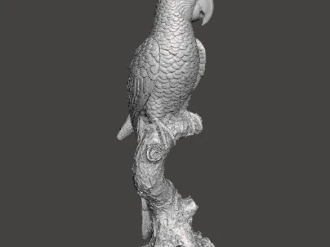PARROT ON BRANCH REALISTIC SCULPTURE MODEL ANIMAL CREATURE WILDLIFE 3D Print Model