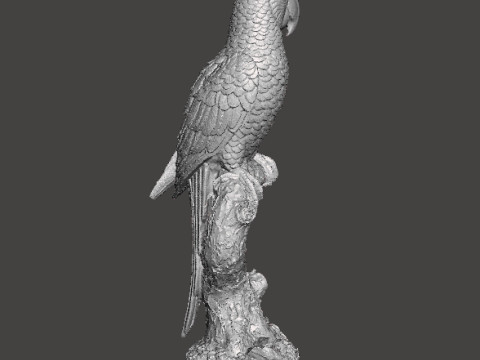 PARROT ON BRANCH REALISTIC SCULPTURE MODEL ANIMAL CREATURE WILDLIFE 3D Baskı Modeli