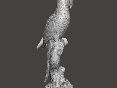 PARROT ON BRANCH REALISTIC SCULPTURE MODEL ANIMAL CREATURE WILDLIFE 3D Print Model