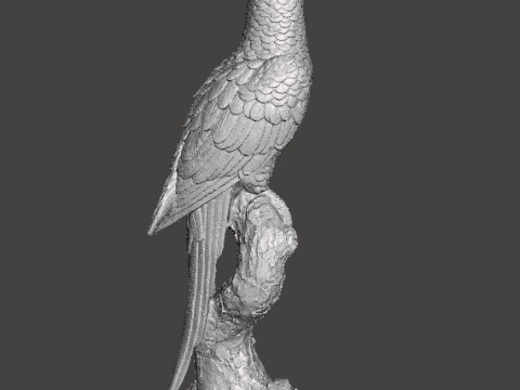 PARROT ON BRANCH REALISTIC SCULPTURE MODEL ANIMAL CREATURE WILDLIFE 3D Baskı Modeli