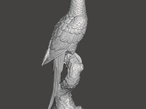PARROT ON BRANCH REALISTIC SCULPTURE MODEL ANIMAL CREATURE WILDLIFE 3D Print Model