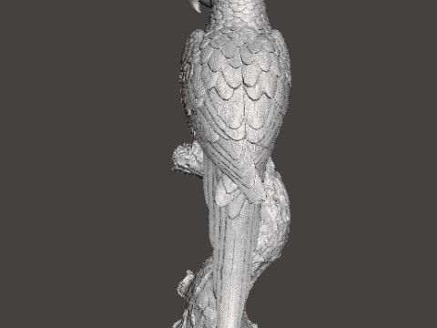 PARROT ON BRANCH REALISTIC SCULPTURE MODEL ANIMAL CREATURE WILDLIFE 3D Baskı Modeli