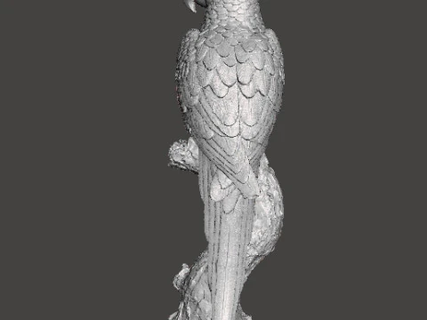 PARROT ON BRANCH REALISTIC SCULPTURE MODEL ANIMAL CREATURE WILDLIFE 3D Print Model