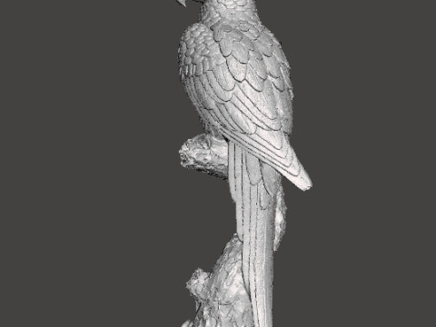 PARROT ON BRANCH REALISTIC SCULPTURE MODEL ANIMAL CREATURE WILDLIFE 3D Baskı Modeli