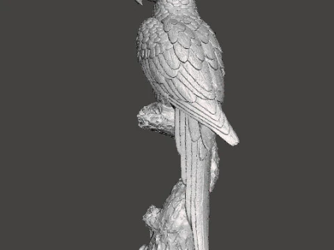 PARROT ON BRANCH REALISTIC SCULPTURE MODEL ANIMAL CREATURE WILDLIFE 3D Print Model