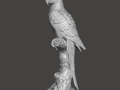 PARROT ON BRANCH REALISTIC SCULPTURE MODEL ANIMAL CREATURE WILDLIFE 3D Baskı Modeli