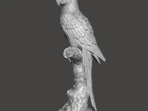 PARROT ON BRANCH REALISTIC SCULPTURE MODEL ANIMAL CREATURE WILDLIFE 3D Print Model