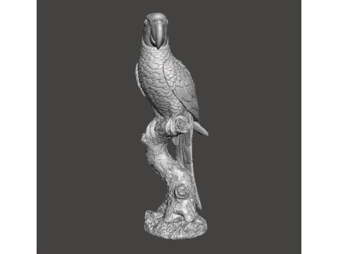 PARROT ON BRANCH REALISTIC SCULPTURE MODEL ANIMAL CREATURE WILDLIFE 3D Baskı Modeli