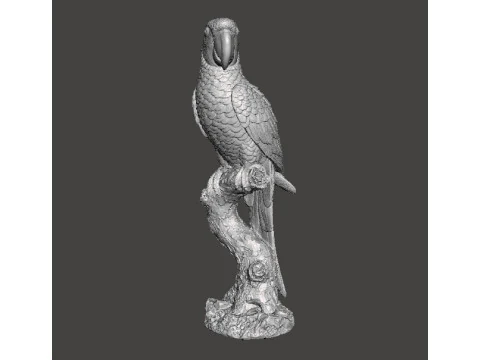 PARROT ON BRANCH REALISTIC SCULPTURE MODEL ANIMAL CREATURE WILDLIFE 3D Print Model