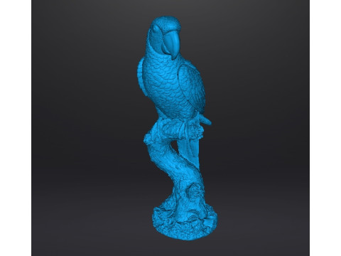 PARROT ON BRANCH REALISTIC SCULPTURE MODEL ANIMAL CREATURE WILDLIFE 3D Baskı Modeli